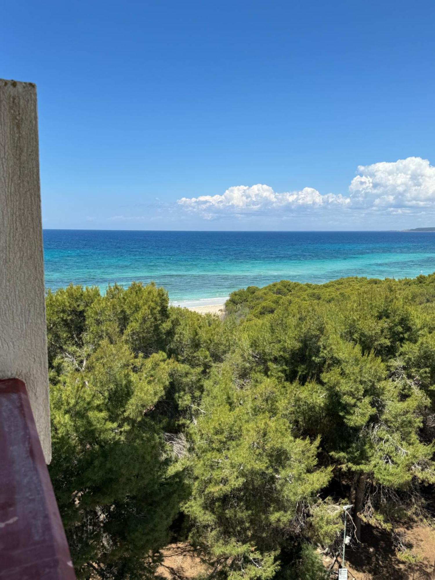 Apartament La Playa Rivabella Zewnętrze zdjęcie